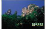 網(wǎng)絡(luò)熱門純玩游：張家界、天子山、袁家界、楊家界 自助三日游