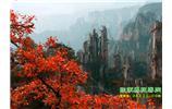 春節(jié)期間：張家界、天子山、金鞭溪自駕車精華精品游
