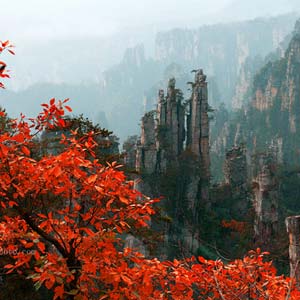 休閑自駕E線：張家界、袁家界、天子山、寶峰湖、鳳凰古城、沱江泛舟四晚五日游