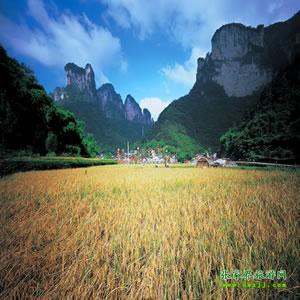 張家界往返純玩散拼：矮寨大橋、德夯苗寨、鳳凰古城、芙蓉鎮(zhèn)二日游