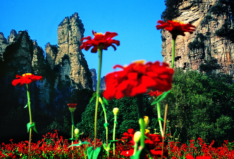 LF線：張家界國家森林公園、猛洞河漂流、鳳凰古城純玩自助五日游
